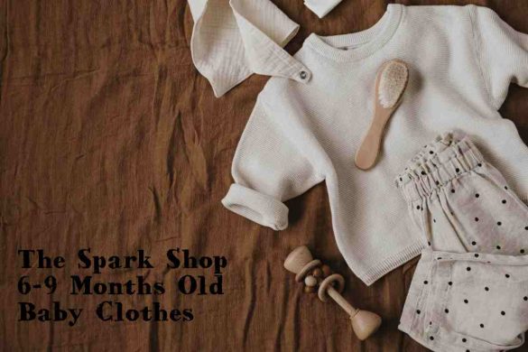 The Spark Shop 6-9 Months Old Baby Clothes